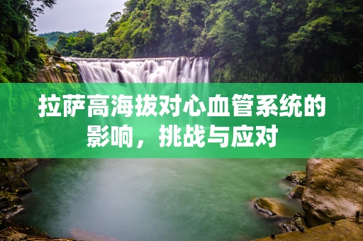 拉萨高海拔对心血管系统的影响，挑战与应对