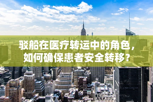 驳船在医疗转运中的角色，如何确保患者安全转移？