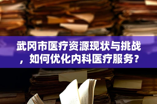 武冈市医疗资源现状与挑战，如何优化内科医疗服务？