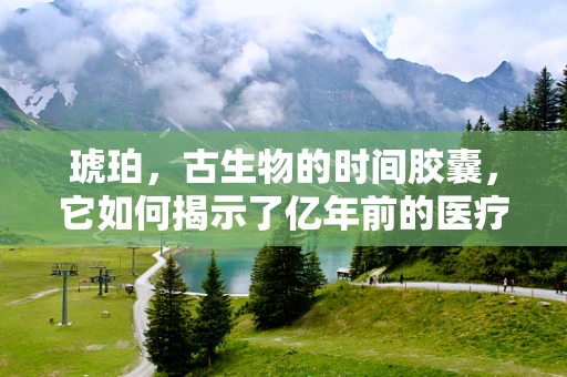 琥珀，古生物的时间胶囊，它如何揭示了亿年前的医疗奥秘？