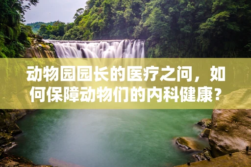 动物园园长的医疗之问，如何保障动物们的内科健康？