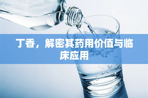 丁香，解密其药用价值与临床应用
