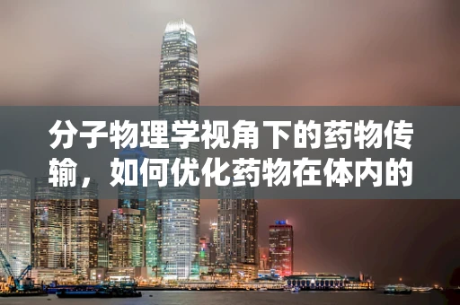 分子物理学视角下的药物传输，如何优化药物在体内的分布与效能？