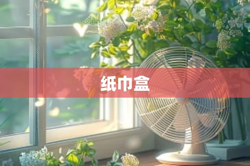 纸巾盒