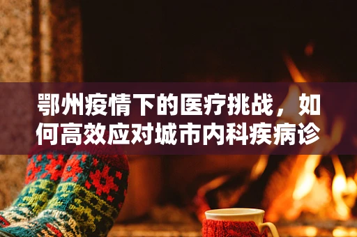 鄂州疫情下的医疗挑战，如何高效应对城市内科疾病诊疗需求？