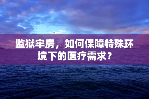 监狱牢房，如何保障特殊环境下的医疗需求？