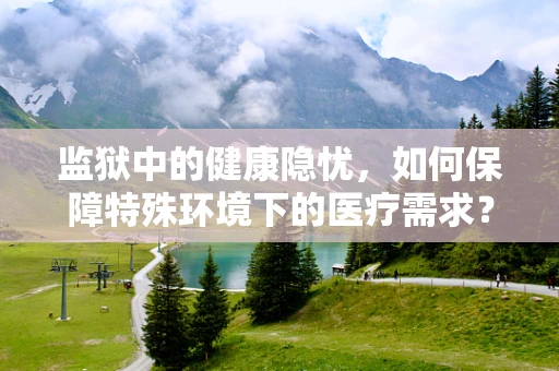 监狱中的健康隐忧，如何保障特殊环境下的医疗需求？