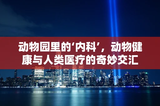 动物园里的‘内科’，动物健康与人类医疗的奇妙交汇