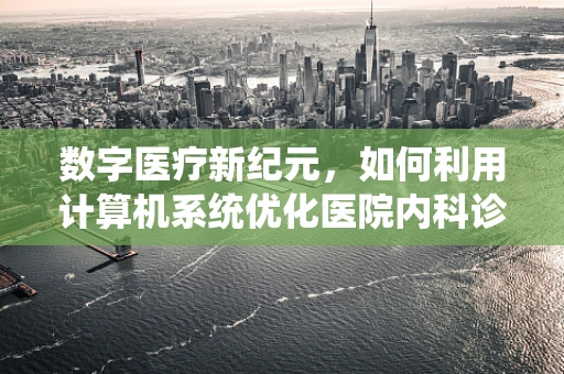 数字医疗新纪元，如何利用计算机系统优化医院内科诊疗流程？