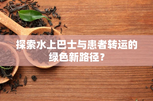 探索水上巴士与患者转运的绿色新路径？