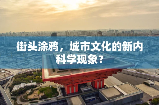 街头涂鸦，城市文化的新内科学现象？