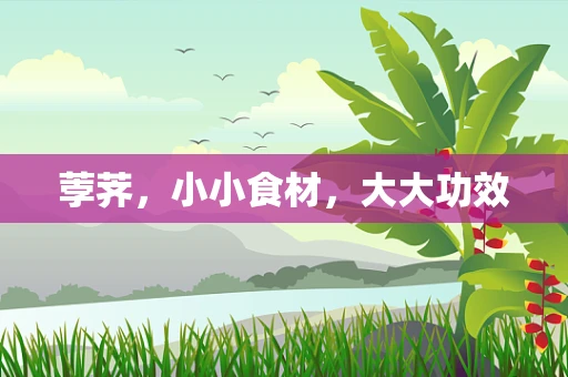 荸荠，小小食材，大大功效
