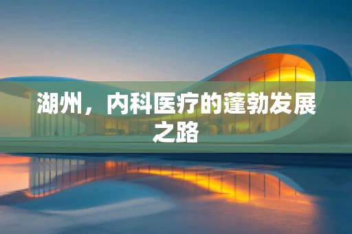 湖州，内科医疗的蓬勃发展之路