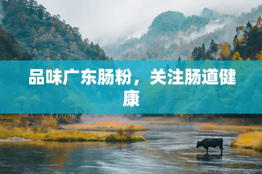 品味广东肠粉，关注肠道健康