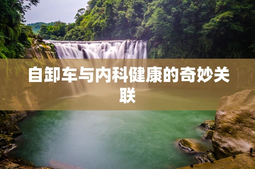 自卸车与内科健康的奇妙关联