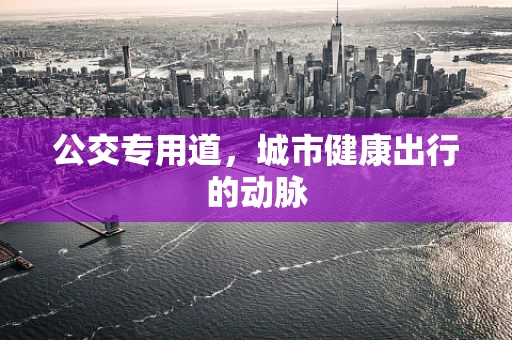 公交专用道，城市健康出行的动脉