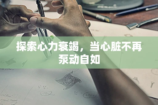 探索心力衰竭，当心脏不再泵动自如