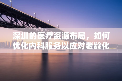 深圳的医疗资源布局，如何优化内科服务以应对老龄化社会的挑战？