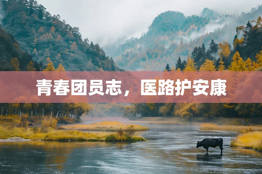 青春团员志，医路护安康