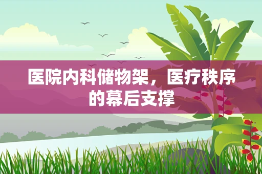 医院内科储物架，医疗秩序的幕后支撑