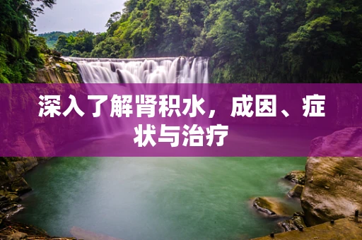 深入了解肾积水，成因、症状与治疗