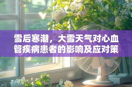 雪后寒潮，大雪天气对心血管疾病患者的影响及应对策略