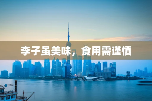 李子虽美味，食用需谨慎