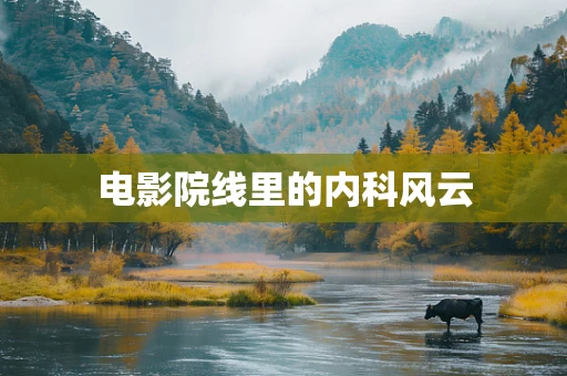 电影院线里的内科风云