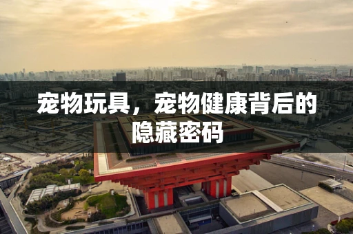 宠物玩具，宠物健康背后的隐藏密码