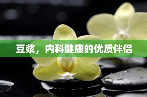 豆浆，内科健康的优质伴侣