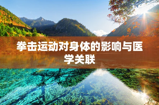 拳击运动对身体的影响与医学关联