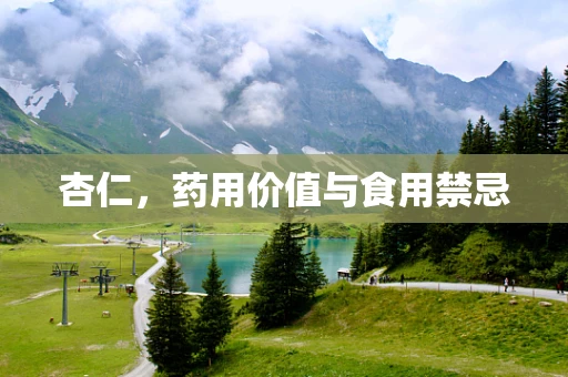 杏仁，药用价值与食用禁忌