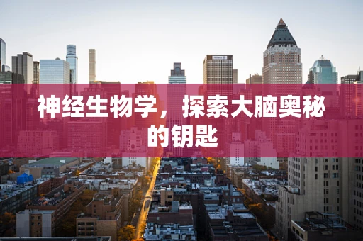 神经生物学，探索大脑奥秘的钥匙