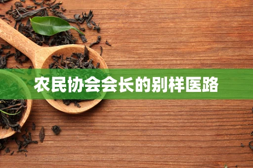 农民协会会长的别样医路