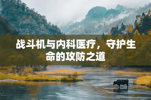 战斗机与内科医疗，守护生命的攻防之道