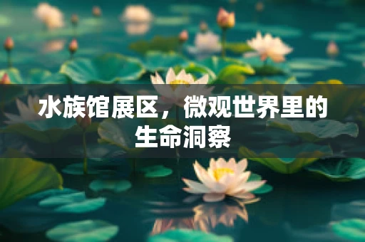 水族馆展区，微观世界里的生命洞察