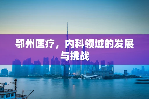 鄂州医疗，内科领域的发展与挑战