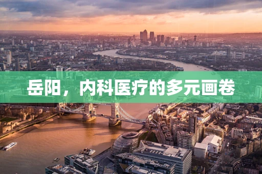 岳阳，内科医疗的多元画卷