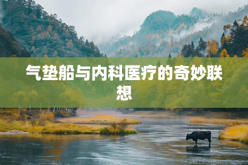气垫船与内科医疗的奇妙联想