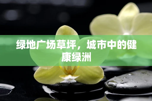 绿地广场草坪，城市中的健康绿洲