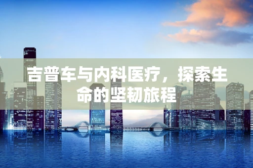 吉普车与内科医疗，探索生命的坚韧旅程