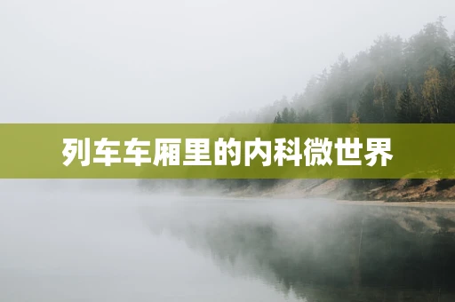 列车车厢里的内科微世界
