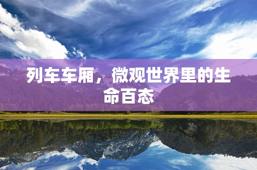 列车车厢，微观世界里的生命百态