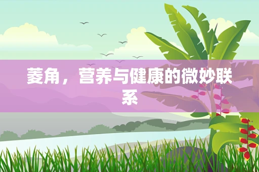 菱角，营养与健康的微妙联系