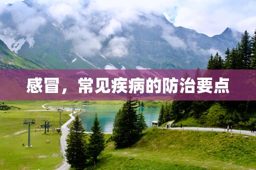 感冒，常见疾病的防治要点