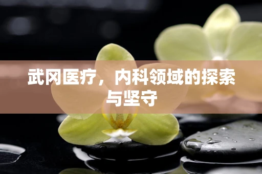 武冈医疗，内科领域的探索与坚守