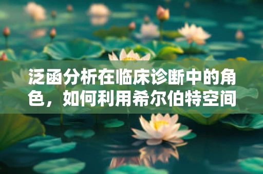 泛函分析在临床诊断中的角色，如何利用希尔伯特空间优化医学影像处理？