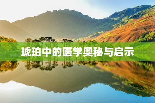 琥珀中的医学奥秘与启示