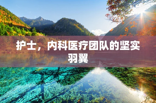 护士，内科医疗团队的坚实羽翼