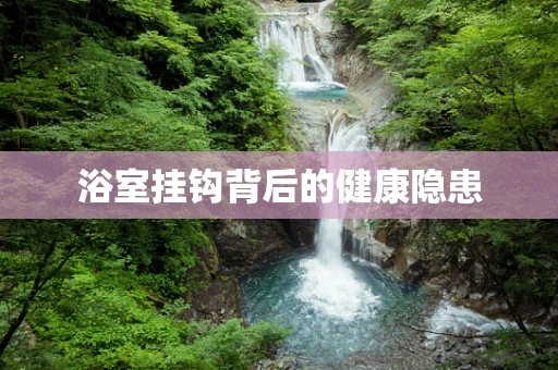 浴室挂钩背后的健康隐患